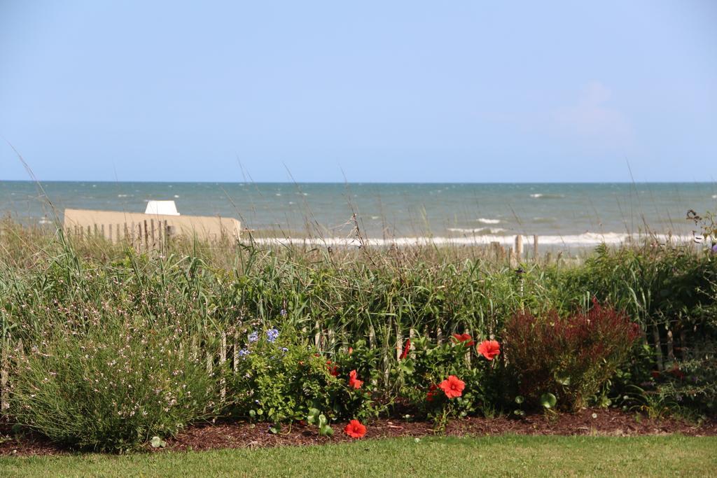 Jade Tree Cove Hotell Myrtle Beach Exteriör bild